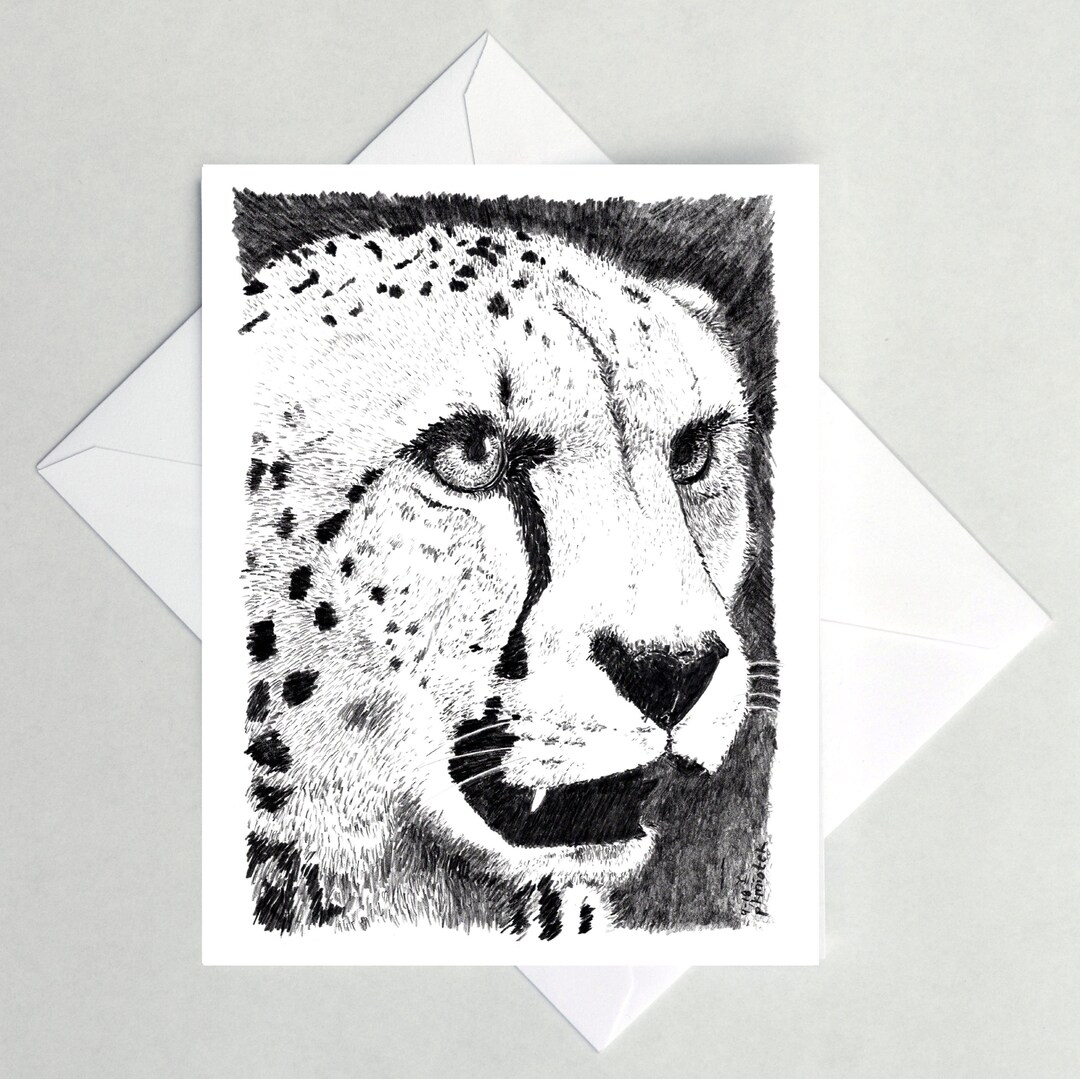 Cheetah Note Cards - Etsy