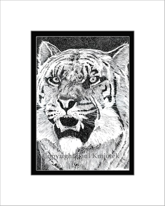 Tiger Pen Ink Tiger Pen and Ink Print Shiva - Etsy