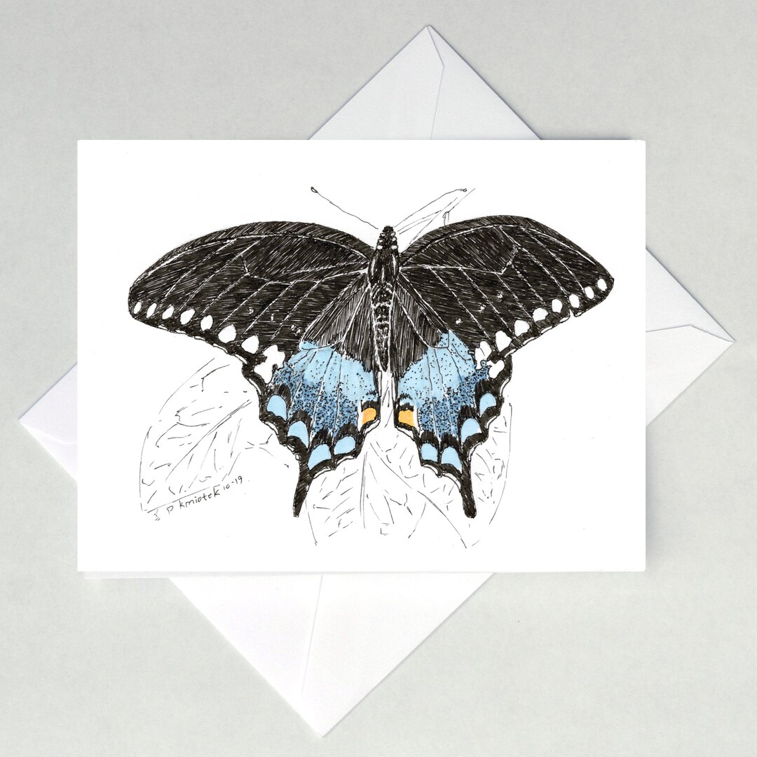 Spicebush Swallowtail Butterfly Note Cards - Etsy