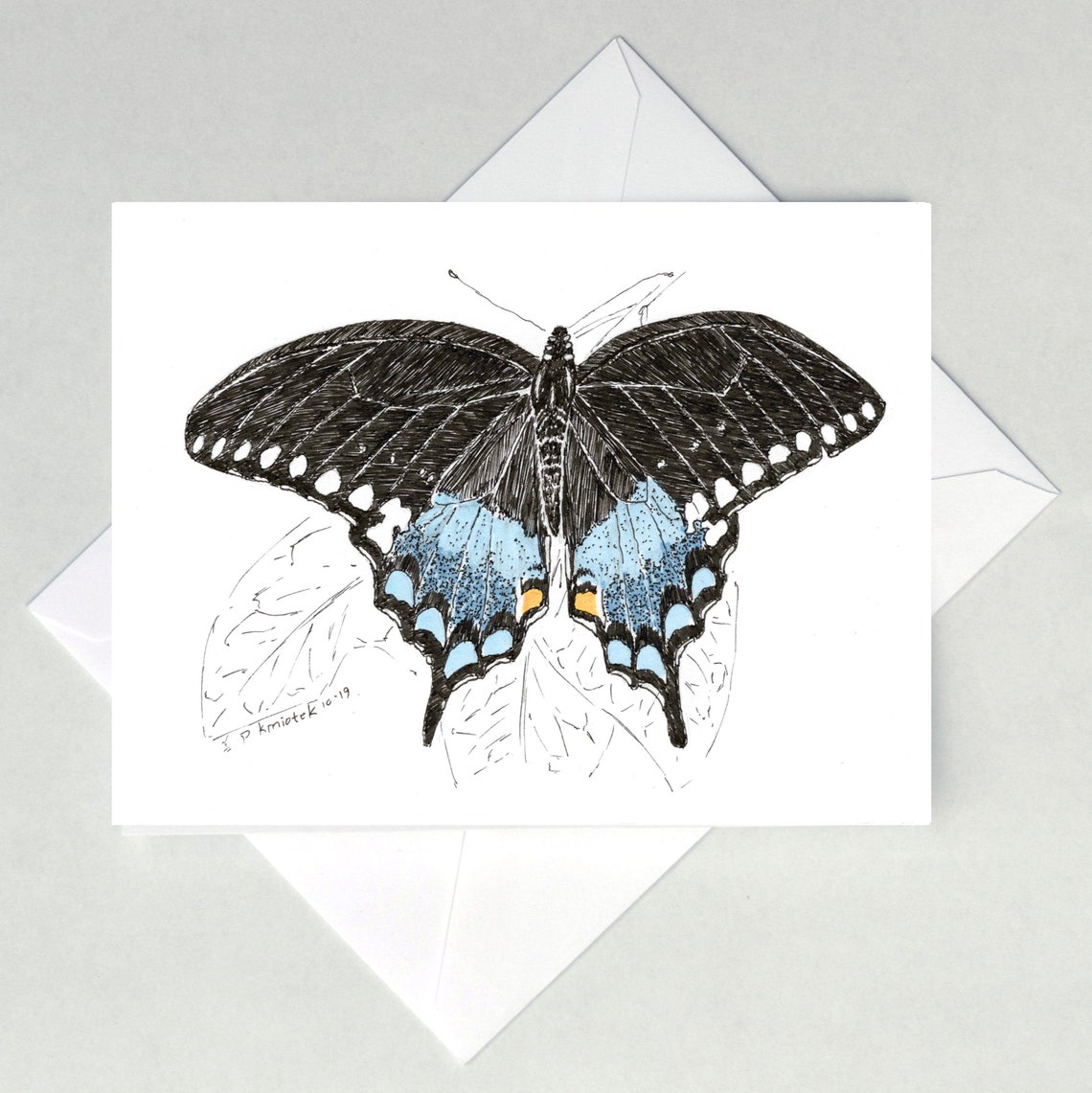 Spicebush Swallowtail Butterfly Note Cards - Etsy