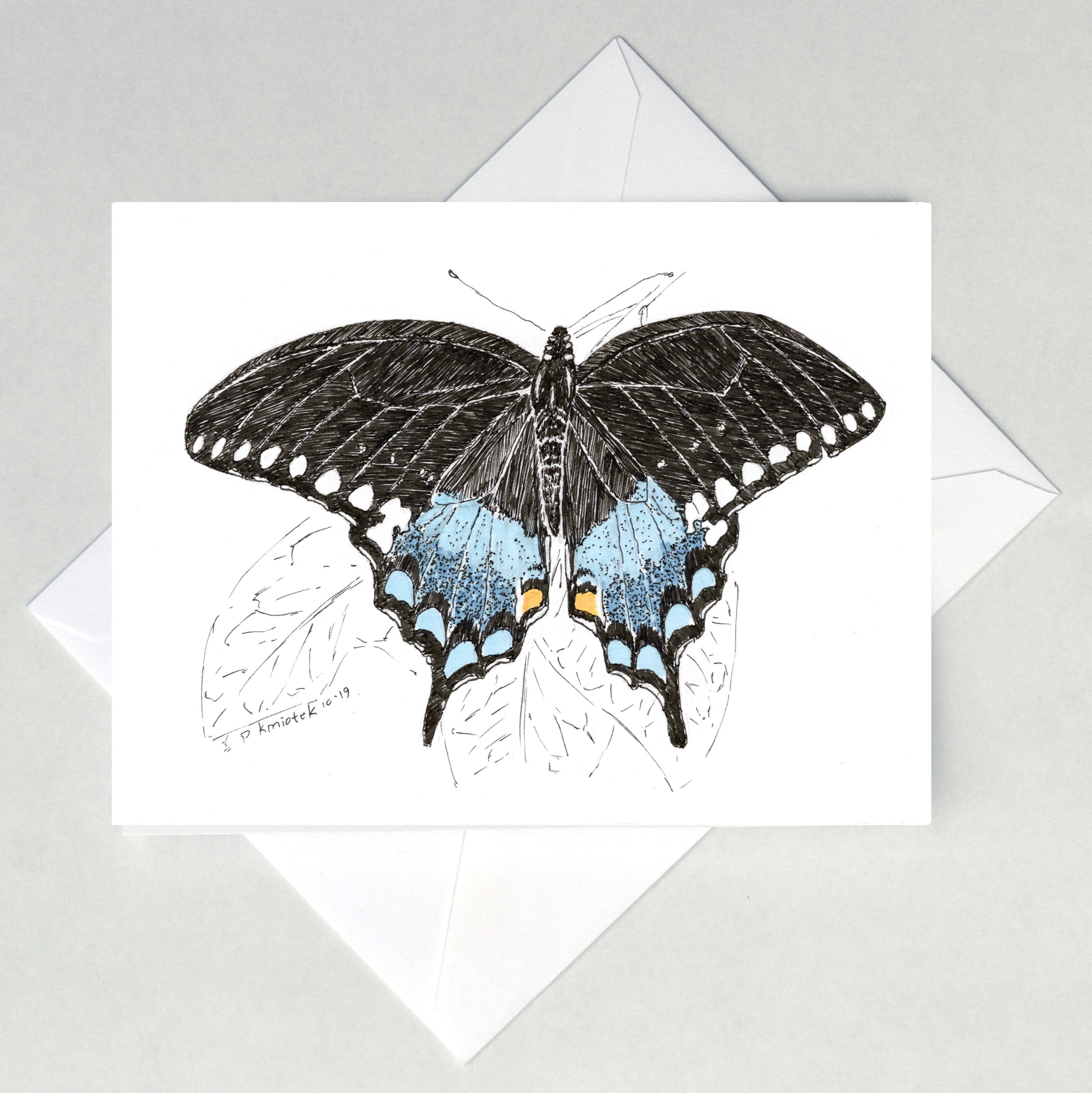 Spicebush Swallowtail Butterfly Note Cards - Etsy