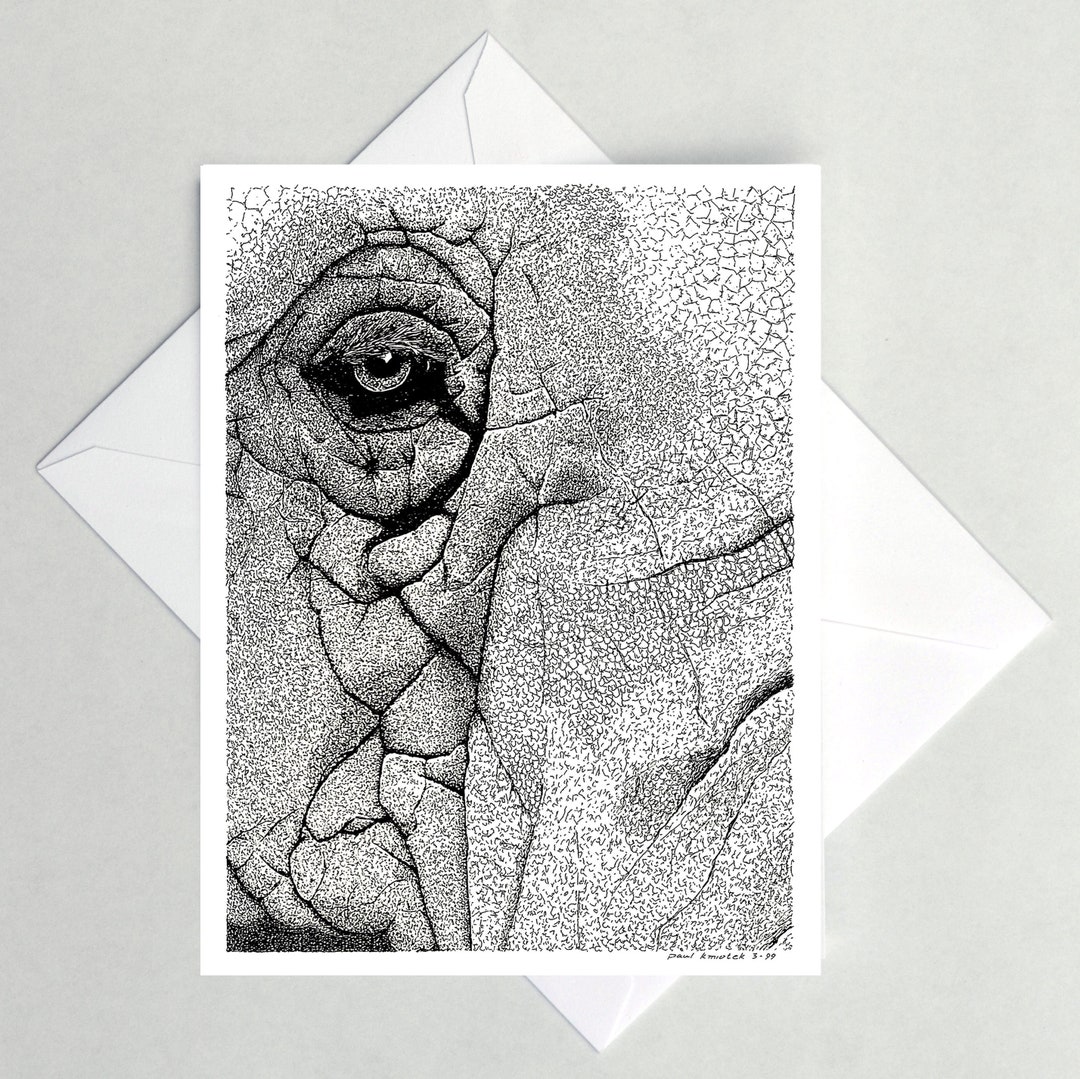 Elephant's Eye Note Cards - Etsy