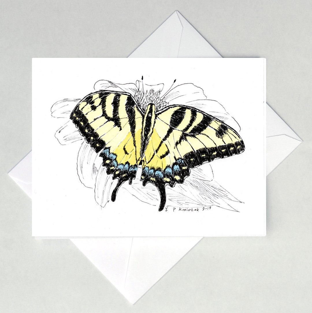 Eastern Swallowtail Butterfly Note Cards - Etsy