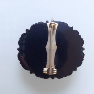 May include: Black carved cameo brooch with a gold tone pin and clasp.