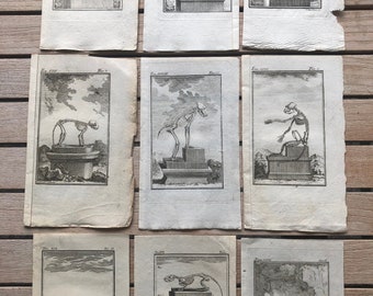 A single antique engraving print on parchment, animal skeletons, 19th century book.