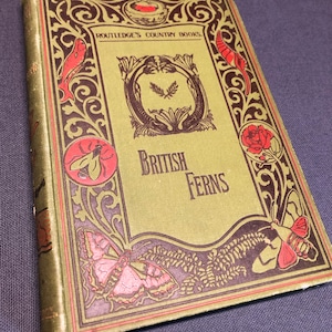 Könnte beinhalten: Ein altes grünes Buch mit einem goldenen und braunen verzierten Design. Der Titel "British Ferns" ist in roten und schwarzen Buchstaben gedruckt. Der Buchumschlag zeigt Illustrationen von Schmetterlingen, einer Biene und einem Vogelnest.