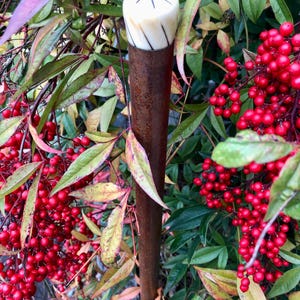 19th-century Italian malacca Walking Stick with bone & brass handle – collectible dandy cane, elegant vintage accessory