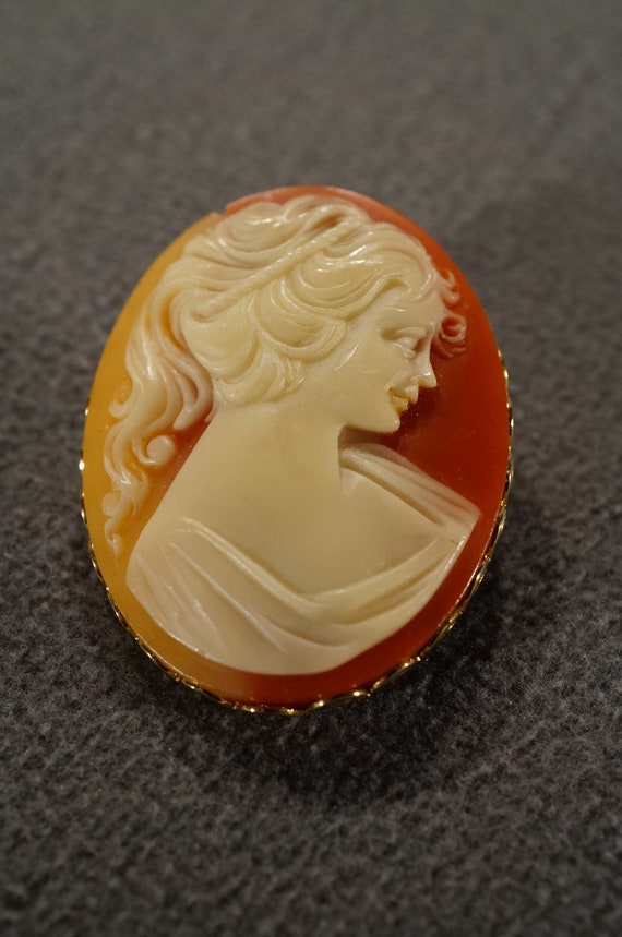 Vintage Victorian Style Faux Cameo Carved Figural Design Pin