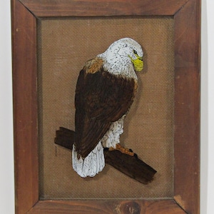 May include: A framed artwork depicting a bald eagle with white head and tail feathers, perched on a branch. The eagle is rendered in a detailed, almost mosaic-like style, with brown and white paper pieces.