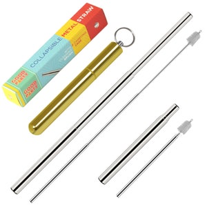 Collapsible Stainless Steel Straw Keychain: Eco-Friendly Travel Accessory