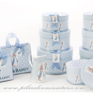 Scatole Peter Rabbit, scatole rotonde blu, per la cameretta dei bambini, miniature per case delle bambole, borse per la spesa, decorazioni per la cameretta dei bambini, regalo per donna, amanti di Beatrix Potter