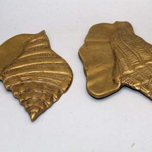 Brass Seashell -  Canada