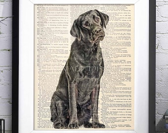 Zwarte labrador, woordenboekkunstafdruk, kunstcadeaus wordt afgedrukt, kunsthuisdieren, cadeau-idee voor boekenliefhebbers, zwarte labrador kunst aan de muur, hondenliefhebber cadeau