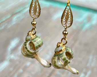 Elegant Filigree Shell earrings