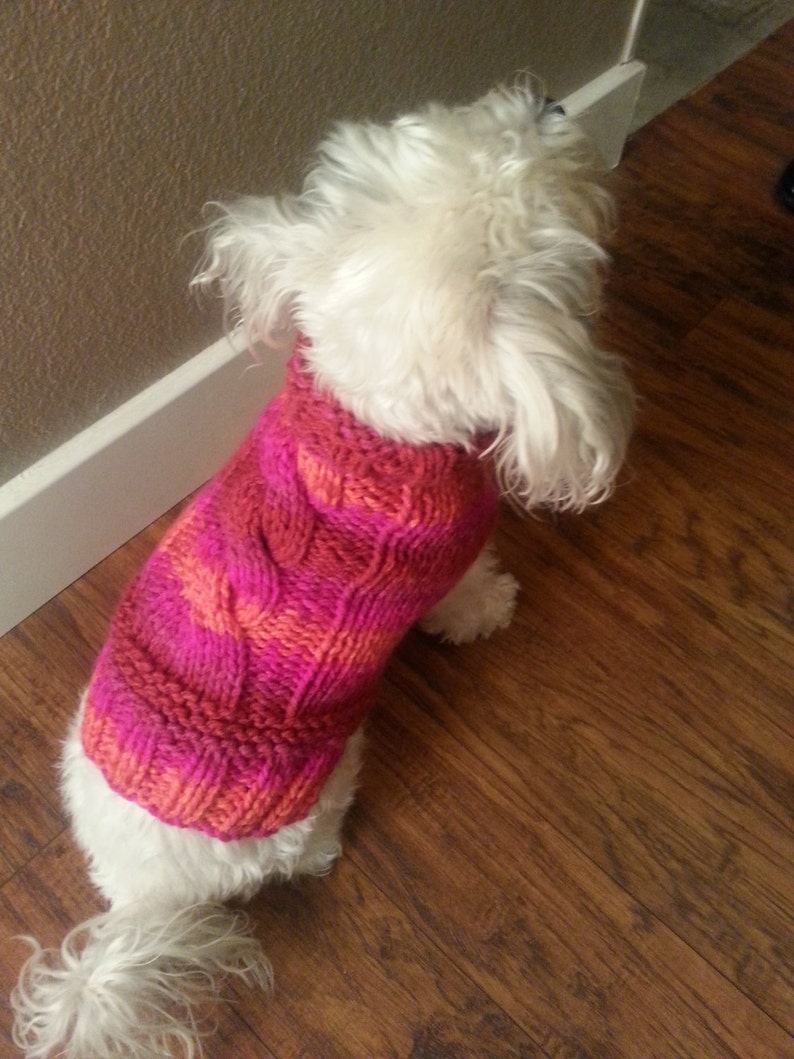 Hand Knit Dog Sweater Etsy