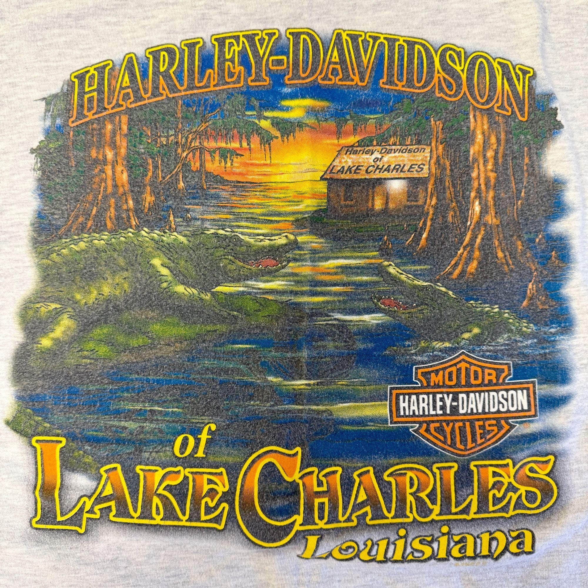 Vintage Harley Davidson Motorcycle LAKE CHARLES Louisiana Swampy