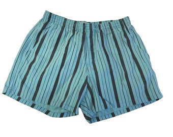 Vintage 80's Sun Force Men AQUA Blue STRIPE Cotton Trunks SURFER Beach Swim Shorts L 36-38