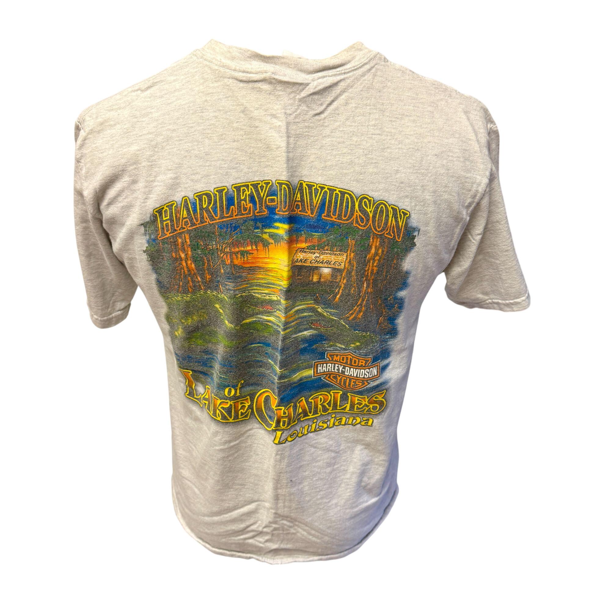Vintage Harley Davidson Motorcycle LAKE CHARLES Louisiana Swampy
