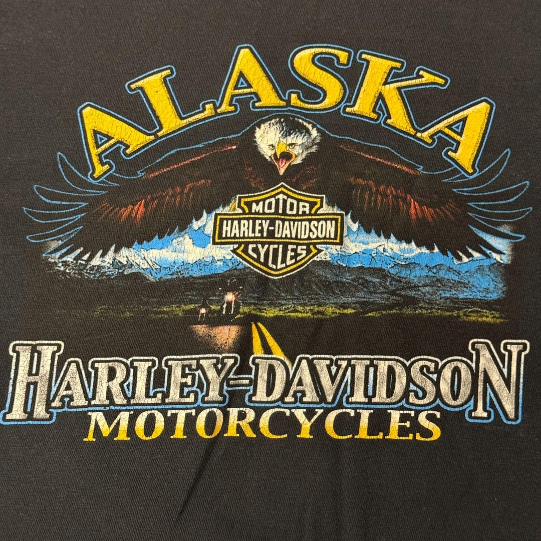 HARLEY DAVIDSON イーグル 星条旗 ラグ Vintage Harley Davidson Denali Motorcycle Wasilla ALASKA ROCKY