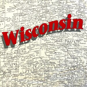 Vintage 90er Jahre Oneita USA Männer ALL OVER Map PRINT Wisconsin Tourist Vorderseite Rückseite T-Shirt L 42-44