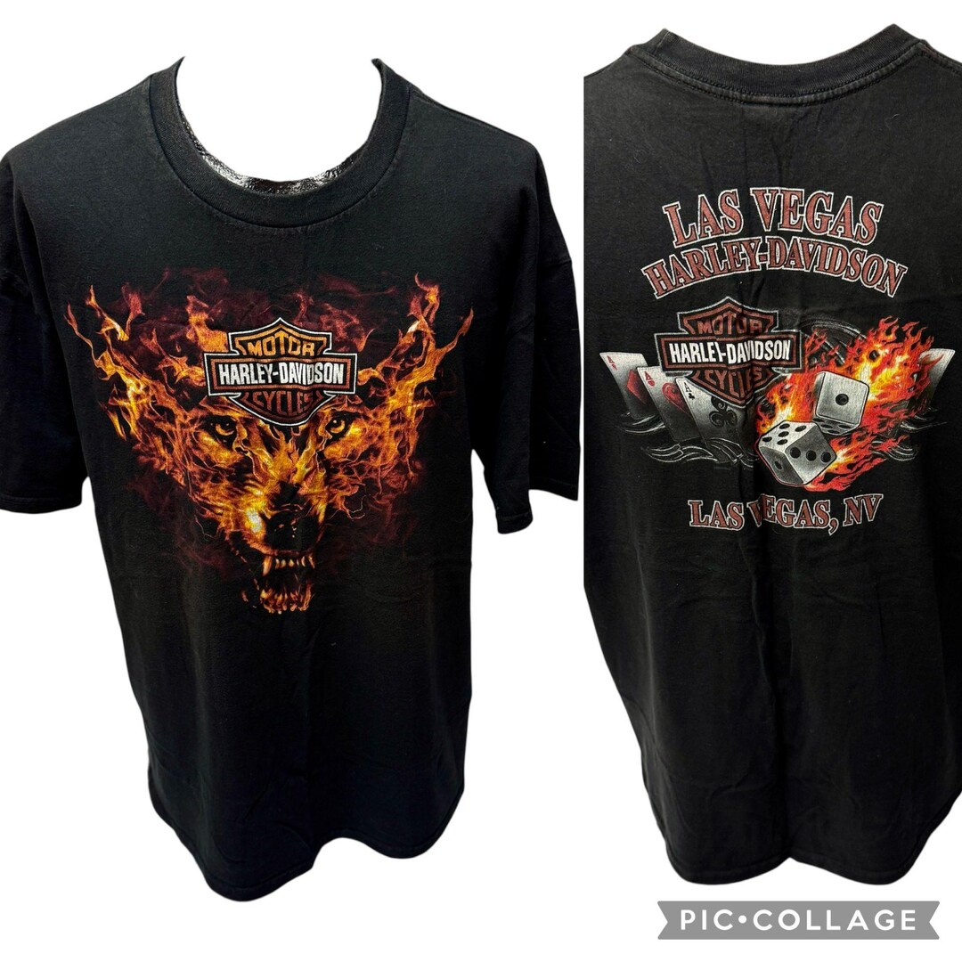 HARLEY DAVIDSON DICE &CARD ロンT Harley-Davidson® Men's