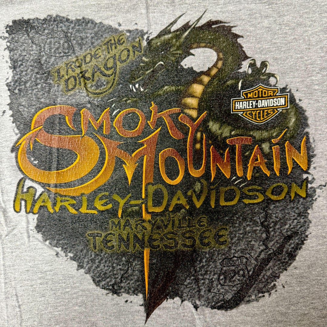 Vintage Harley Davidson Heather Gray SMOKEY MOUNTAIN DRAGON