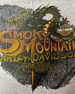 Vintage Harley Davidson Heather Gray SMOKEY MOUNTAIN DRAGON