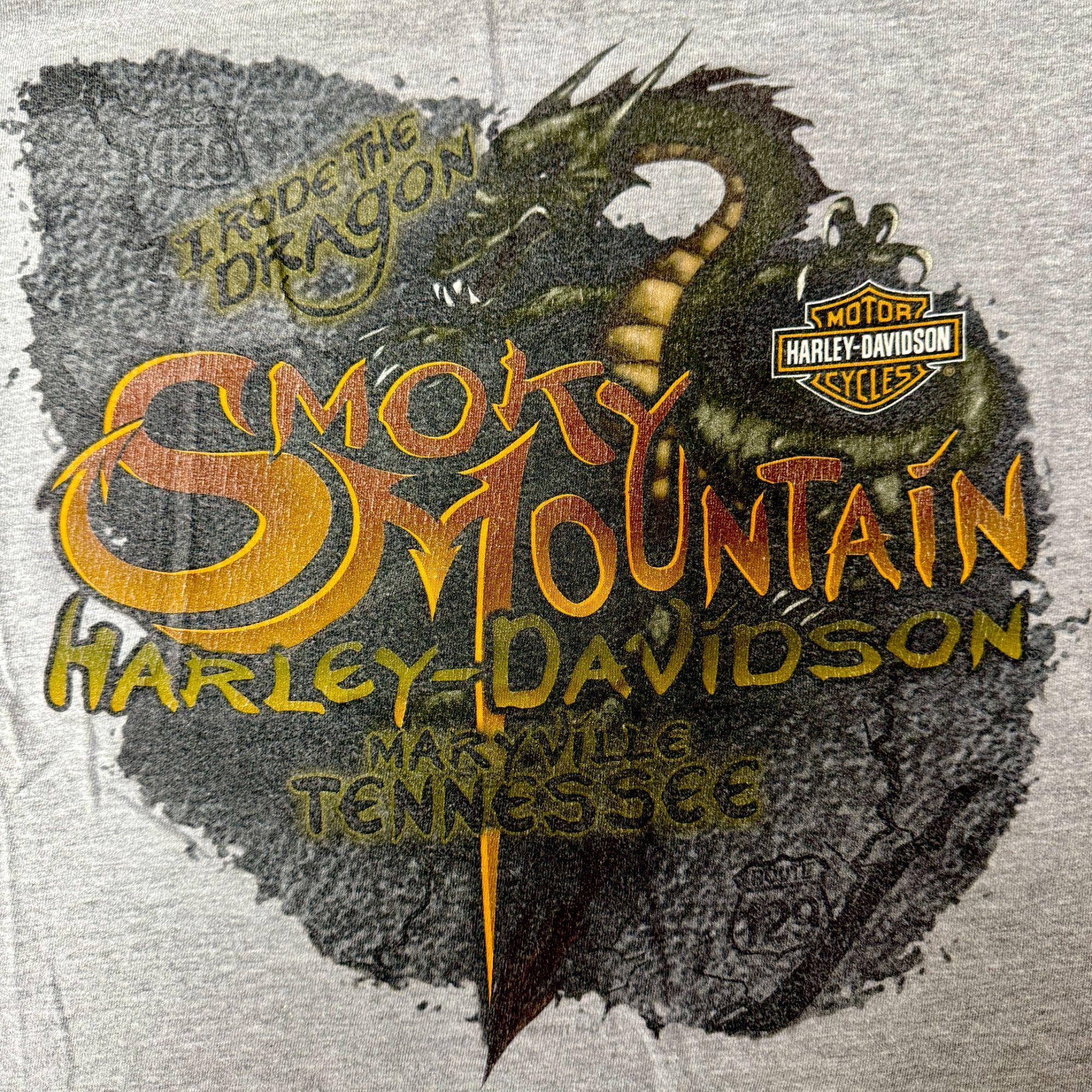 希少‼Harley-Davidson ロンT Rocky Mountain L Vintage Harley Davidson Heather Gray SMOKEY MOUNTAIN DRAGON