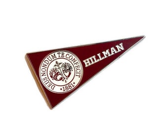 Op de afbeelding: Een rood-witte vlag met de woorden "Hillman" en een wapen met de tekst "Deus Nondu Te Confecit *1881*"