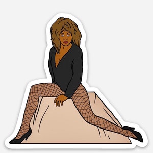 Private Dancer Vinyl Sticker/Laptop Decal image 1