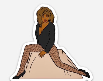 Private Dancer - Vinyl Sticker/Laptop Decal