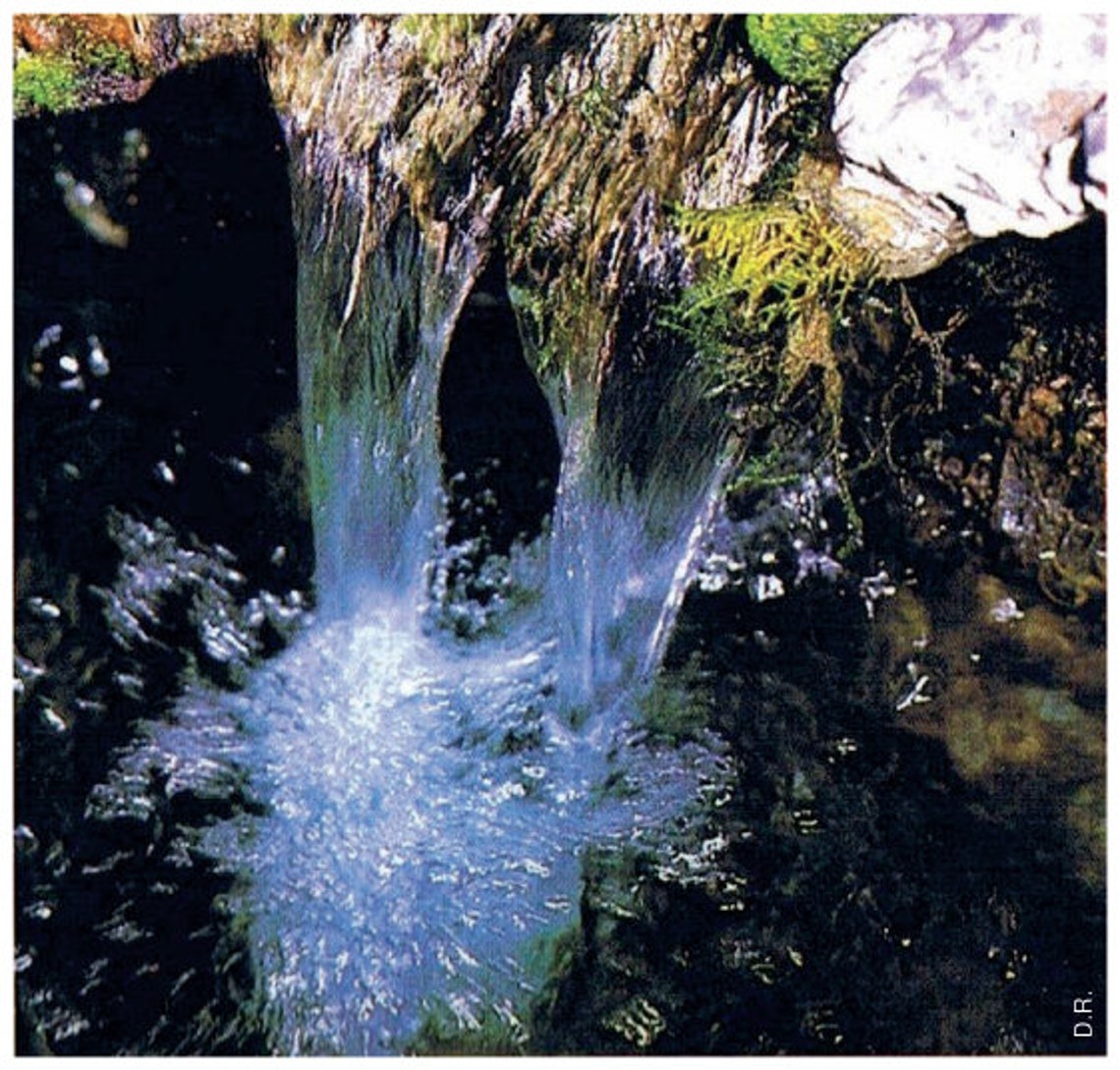 LOURDES WATER 2 Ltr fresh and straight from the Holy Source Etsy