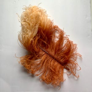 Antique Ostrich Plumes 2 Large Edwardian Orange Fluffy Feathers
