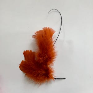May include: A cluster of orange feathers attached to a black wire, which is bent into a loop.