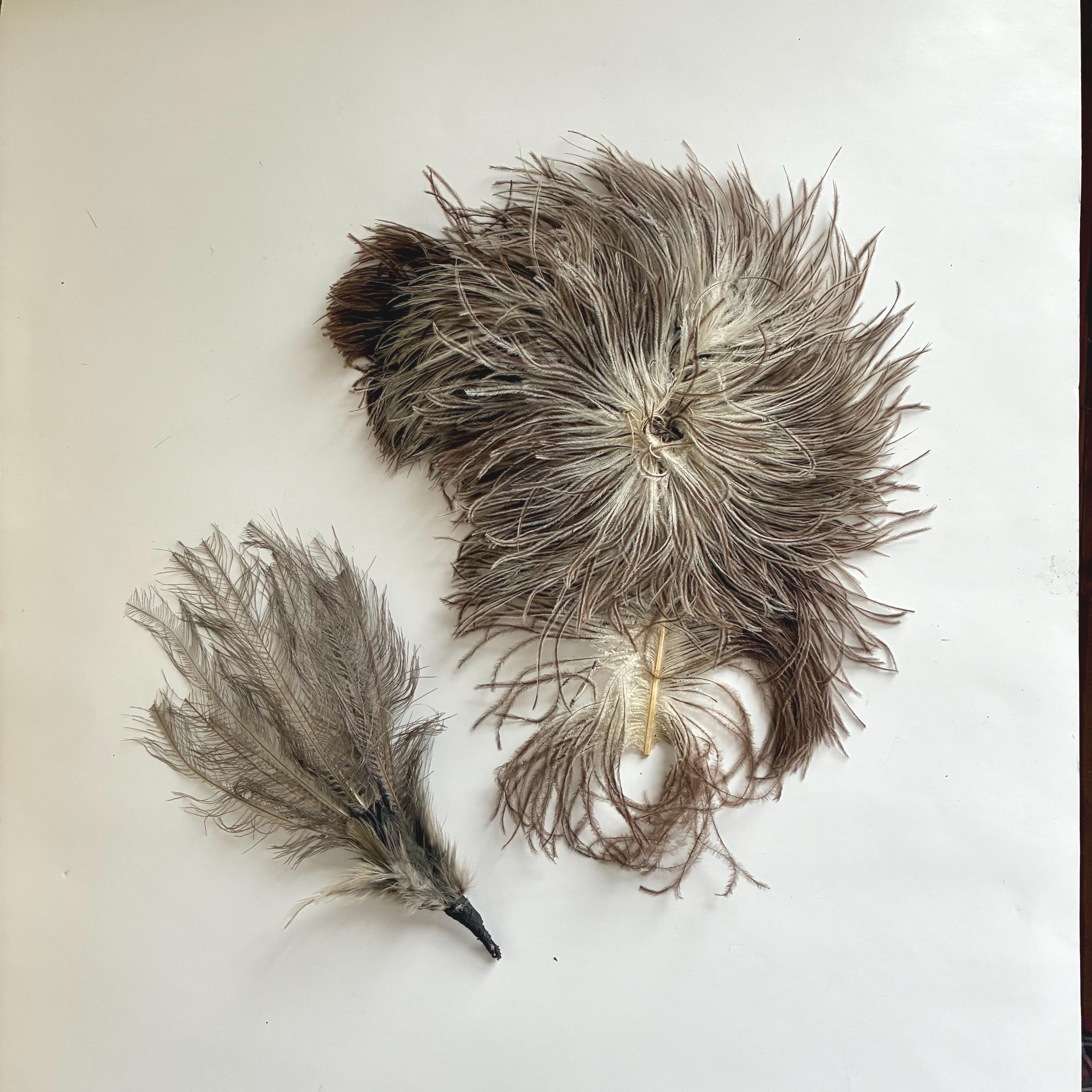 Antique Vintage Millinery Hat Peach Ostrich Plumes Feathers 1950s Unbranded Antique Ostrich Plumes - Etsy main image 2