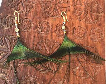 Big & Bold Peacock Feather Earrings - Natural Iridescent Feathers - Handmade Brass, Copper, Silver or 14K Gold Hooks