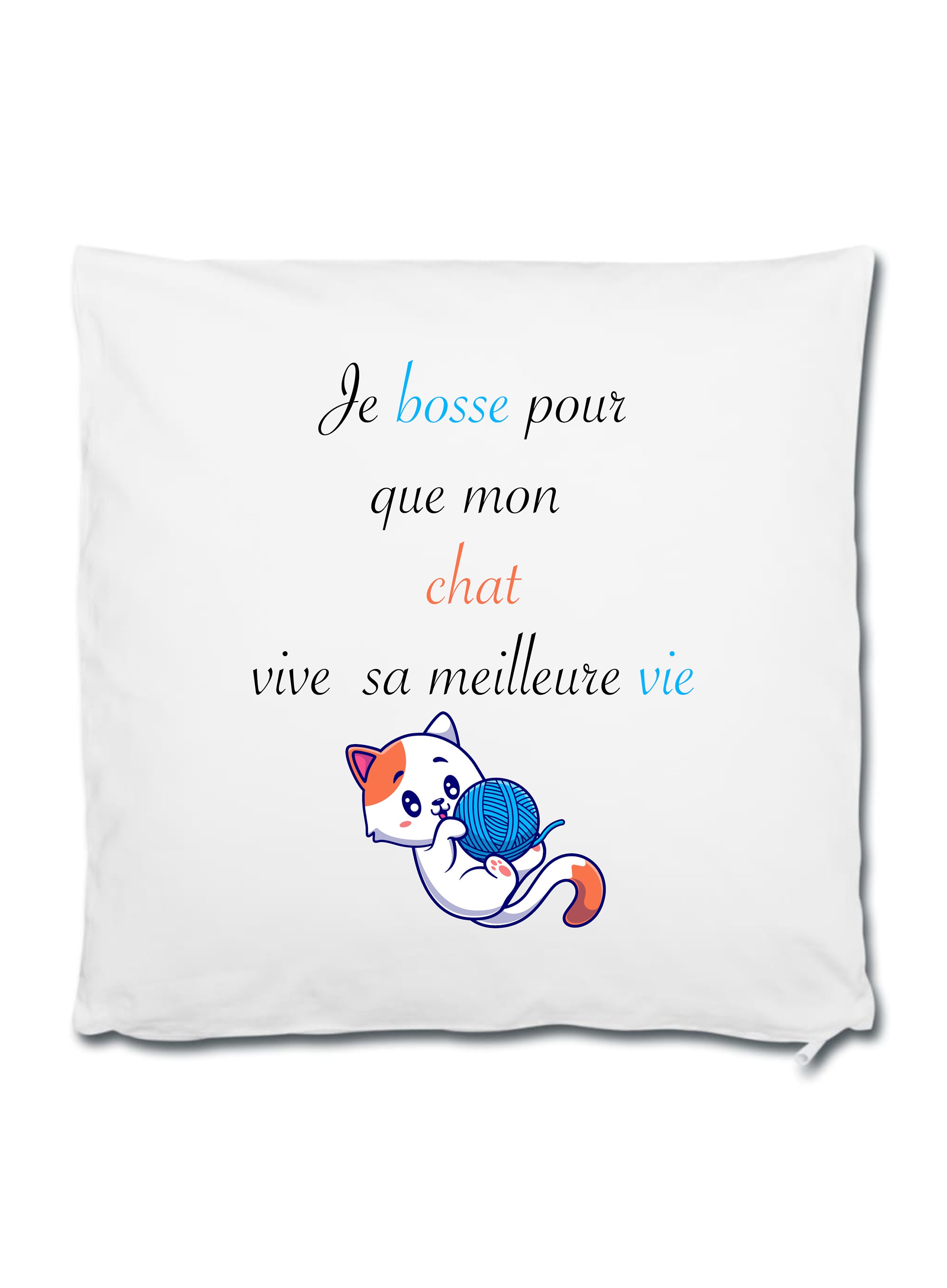 Coussin Chat Humour, Idée Cadeau Amoureux Des Chats