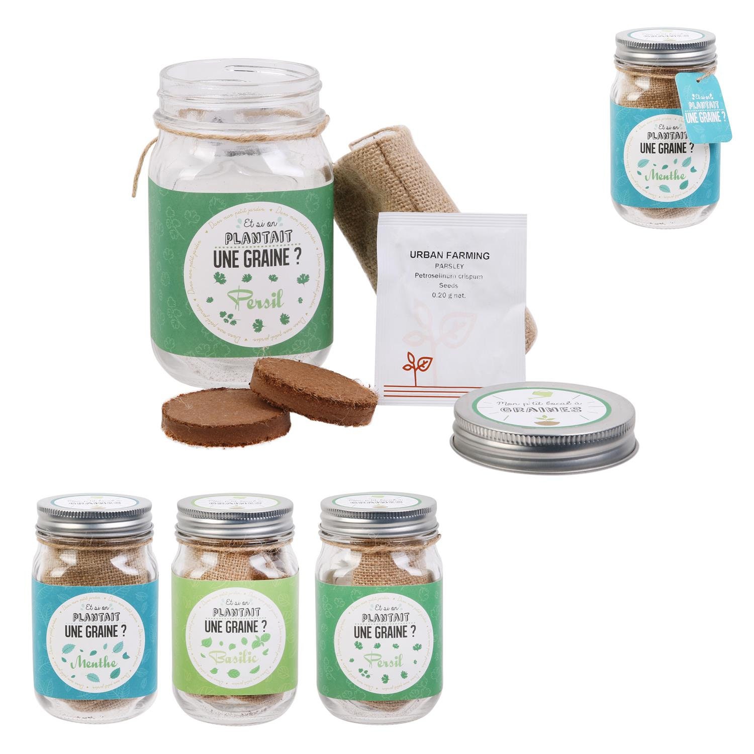 Graine à Planter et Son Pot en Verre Aromate Maison