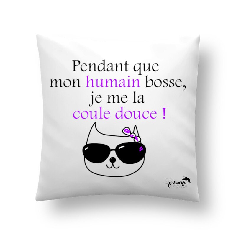 Coussin Personnalisé Cadeau Chat Idée Humoristique Pour Les Fans De