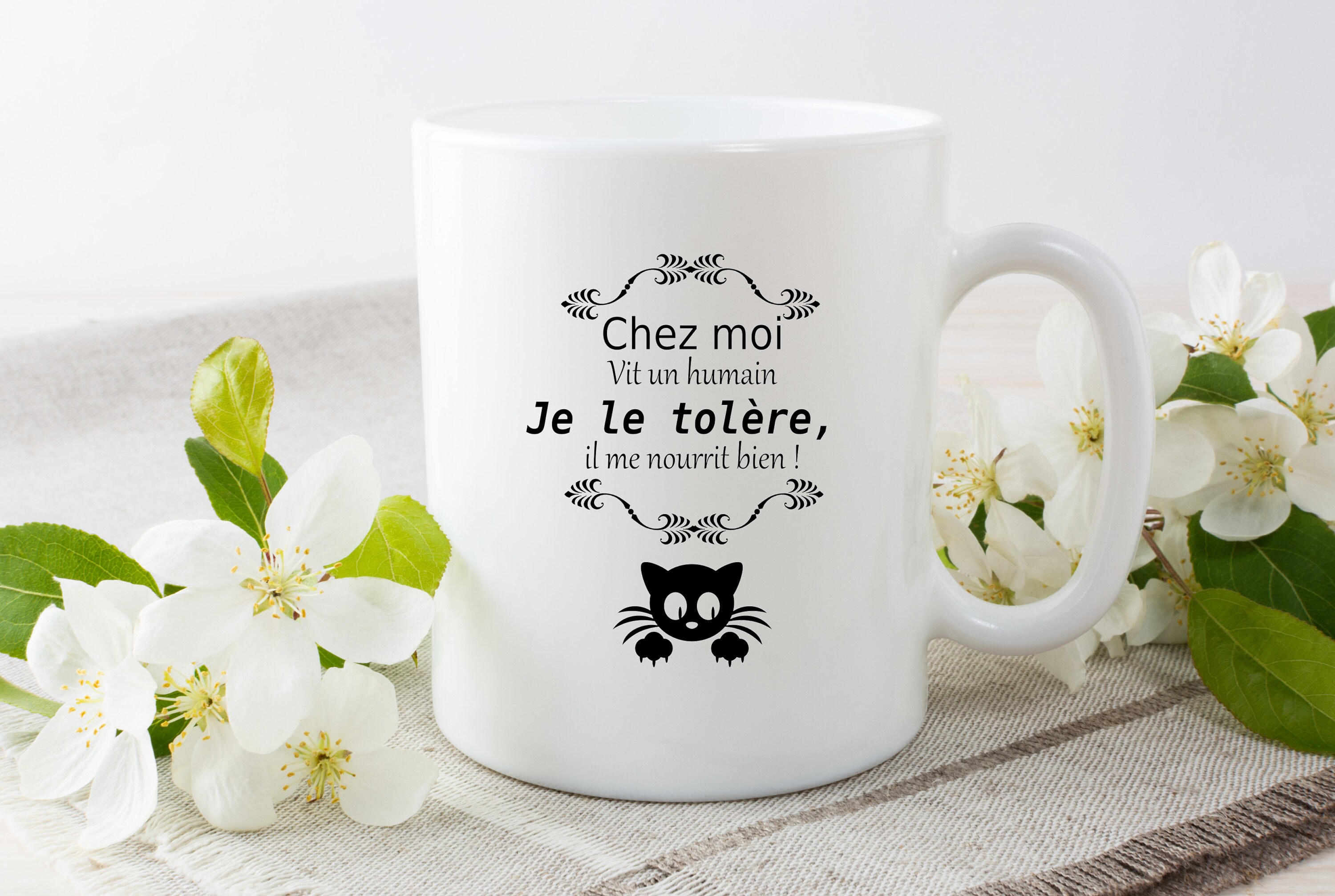 Mug Chat, Chez Moi Vit Un Humain, Je Le Tolère, Il Me Nourrit Bien Idée Cadeau Humoristique