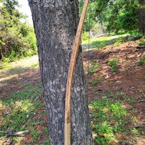 May include: A wooden bow with a brown and tan finish, leaning against a tree trunk. The bow is made of wood and has a string attached to it.