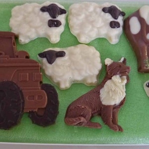 Hand-made Belgian Chocolate Farm gift box