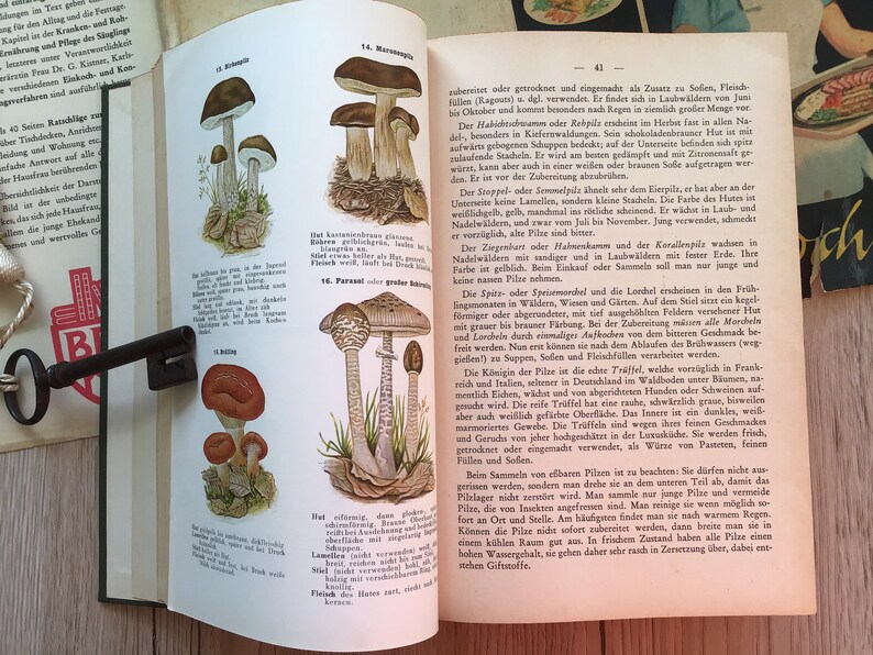 K&ouml;nnte beinhalten: Aufgeschlagenes Buch mit detaillierten Illustrationen verschiedener Pilzarten, darunter Parasolpilze und Morcheln, mit wissenschaftlichen Beschreibungen in deutscher Sprache. Ein antiker Schl&uuml;ssel liegt auf der Seite.