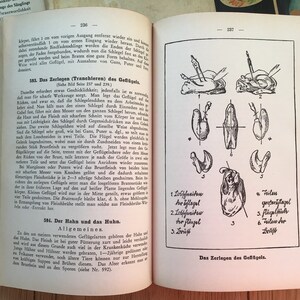 K&ouml;nnte beinhalten: Ein aufgeschlagenes Buch mit deutschem Text und Illustrationen, die das Zerlegen von Gefl&uuml;gel detailliert beschreiben. Die Diagramme zeigen verschiedene Schnitte, beschriftet mit deutschen Begriffen. Die Seiten des Buches sind gealtert, mit einer Vintage-&Auml;sthetik.