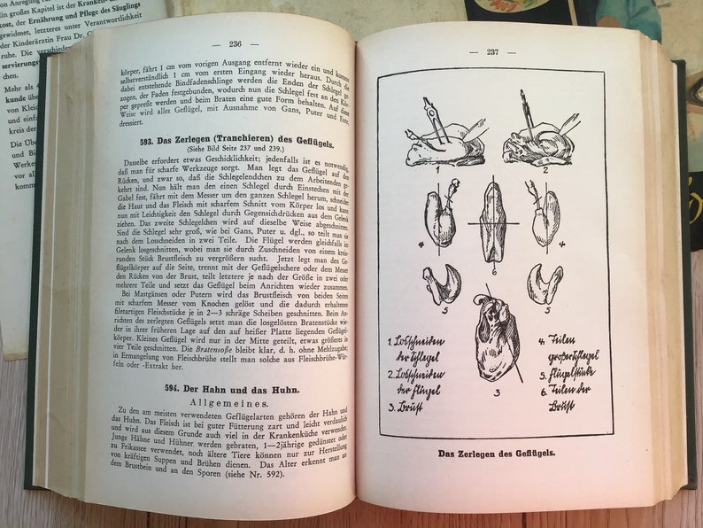 K&ouml;nnte beinhalten: Ein aufgeschlagenes Buch mit deutschem Text und Illustrationen, die das Zerlegen von Gefl&uuml;gel detailliert beschreiben. Die Diagramme zeigen verschiedene Schnitte, beschriftet mit deutschen Begriffen. Die Seiten des Buches sind gealtert, mit einer Vintage-&Auml;sthetik.