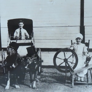 Vintage 1920's Little Boy & Sister With Dogs in Top Hats and Sunglasses Cart Real Photo Postcard - Free Shipping