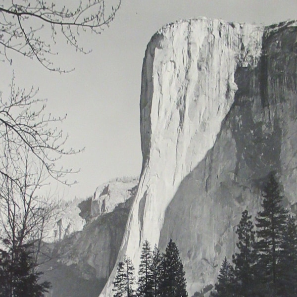 El Capitan - Ansel Adams (1902-1984) Best's Studio Yosemite National Park, CA 5 x 7 Photograph - Back Stamped Circa 1940