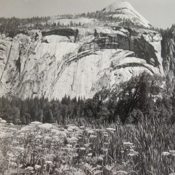 Summer - Ansel Adams (1902-1984) Best's Studio Yosemite National Park, California 4 1/2 x 6 1/2 Photograph - Back Stamped Circa 1940