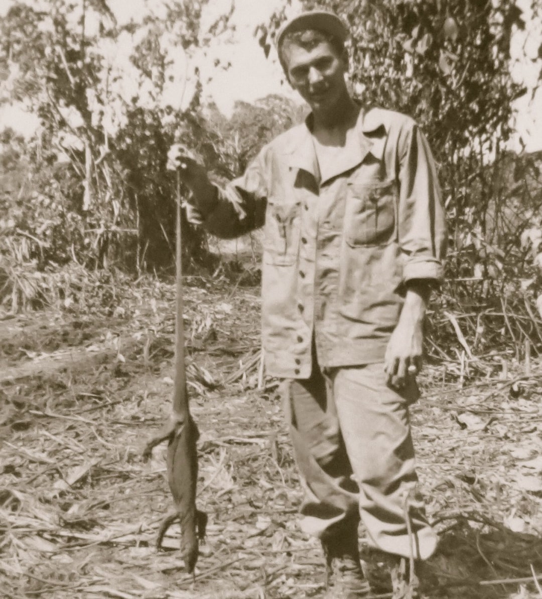 Wwii Lizard 1944 US Soldier Holding Lizard Snapshot – Saidon Invasion Photo - Etsy