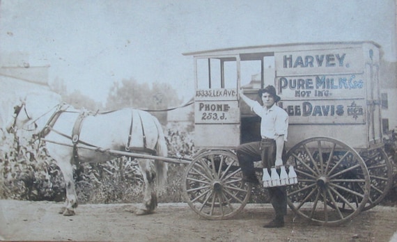 USA RPPC photo patriotic postcard children pony-drawn cart early 1900s USA RPPC photo patriotic postcard children pony-drawn cart early 1900s